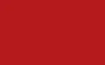 RED Group company icon